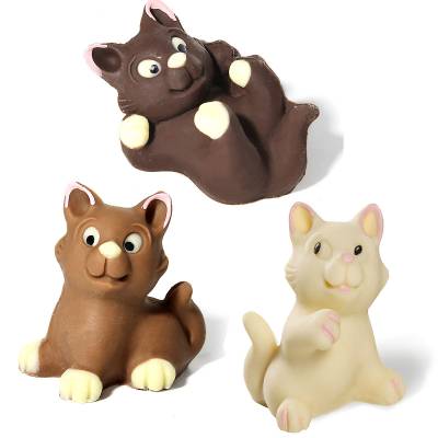 Gatti di cioccolato