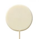 A customizable round-shaped lollipop, ready to be personalized any way you choose