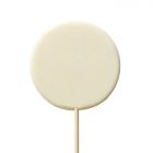 A classic round-shaped lollipop, customizable