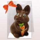Simpatico coniglietto pasquale con carota in cioccolato
