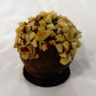 Plusia chocolate pralines gianduia 