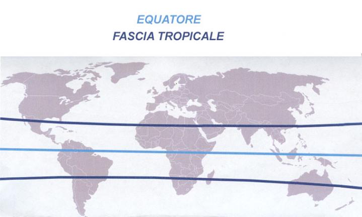 zona produttrice cacao