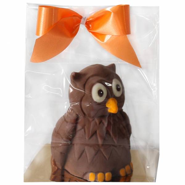 "Gufetto" di cioccolato - Laurea - Animaletti di cioccolato - Halloween