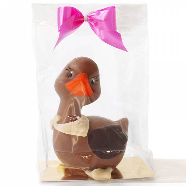 Anatroccolo di cioccolato - Animaletti di cioccolato - Uova di Pasqua