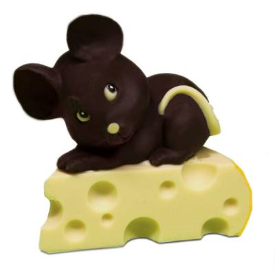 topo su formaggio di cioccolato fondente