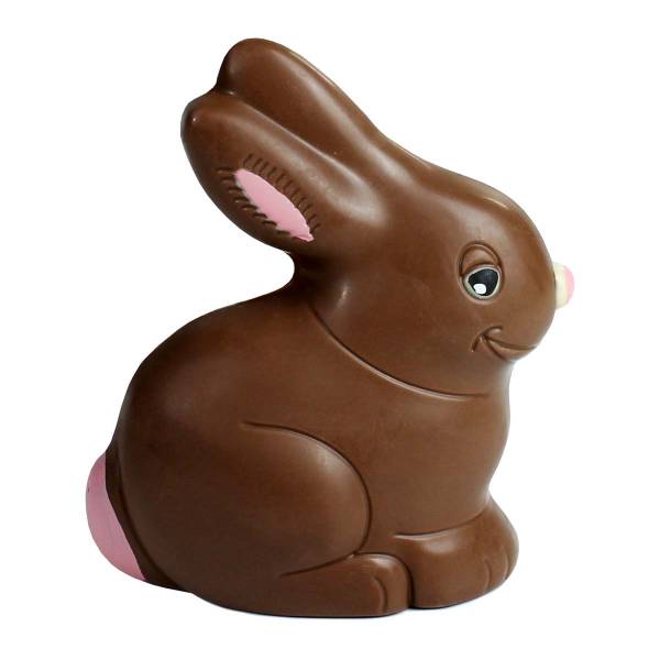 Leprotto di cioccolato - Uova di Pasqua - Compleanno e Ricorrenze